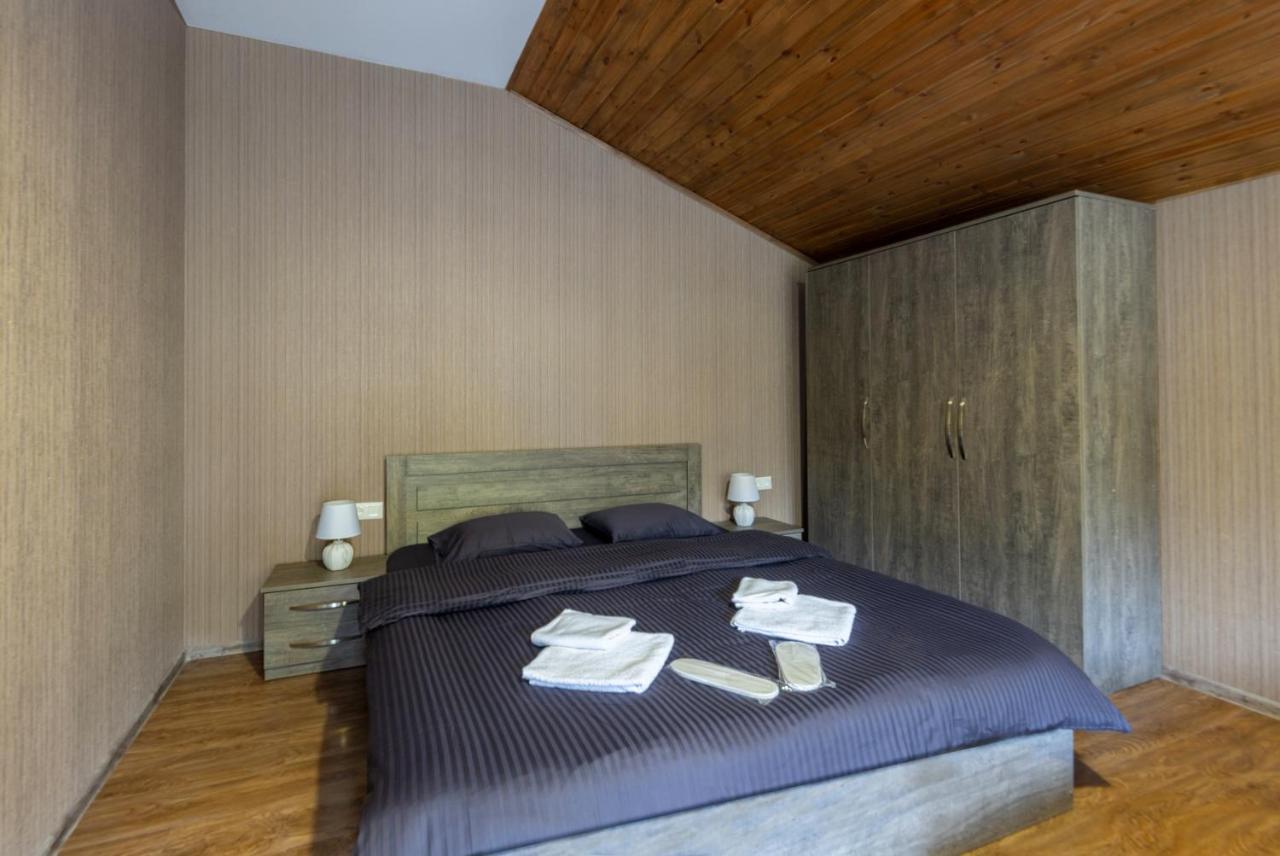 - Didveli Residence Lux Apartments - Bakuriani Εξωτερικό φωτογραφία