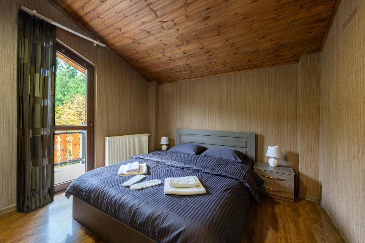 - Didveli Residence Lux Apartments - Bakuriani Εξωτερικό φωτογραφία